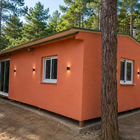 Pinecone Luxury Glamping בית נופש *