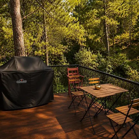 בית נופש Pinecone Luxury Glamping *