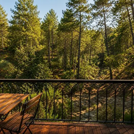 Pinecone Luxury Glamping *