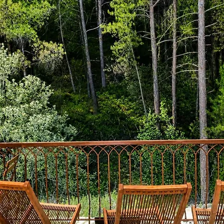 Pinecone Luxury Glamping Tatil Evi