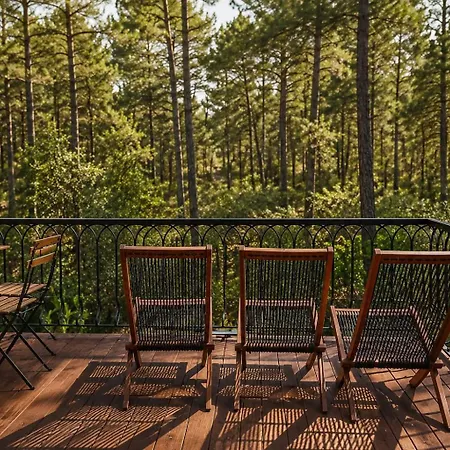 Pinecone Luxury Glamping Tatil Evi Louvaras